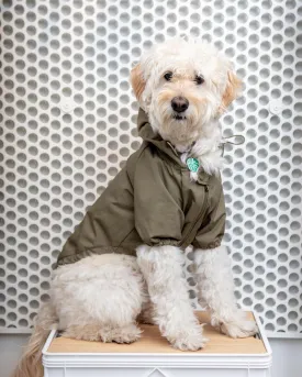 Brooklyn Nylon Water Resistant Dog Jacket (FINAL SALE)