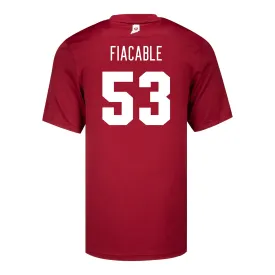 Indiana Hoosiers Adidas #53 Vinny Fiacable Crimson Student Athlete Football Jersey