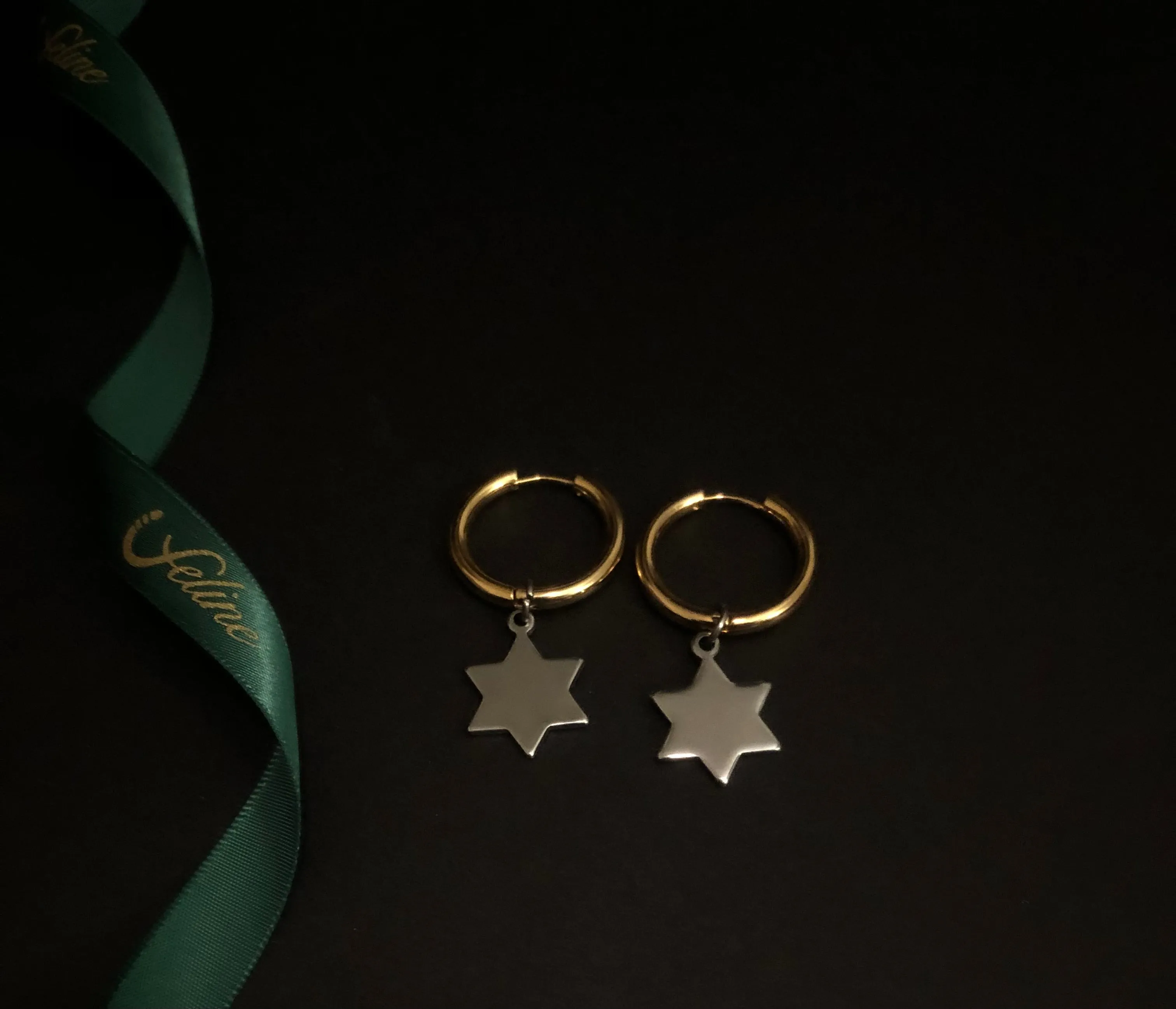 Stanislav Earrings