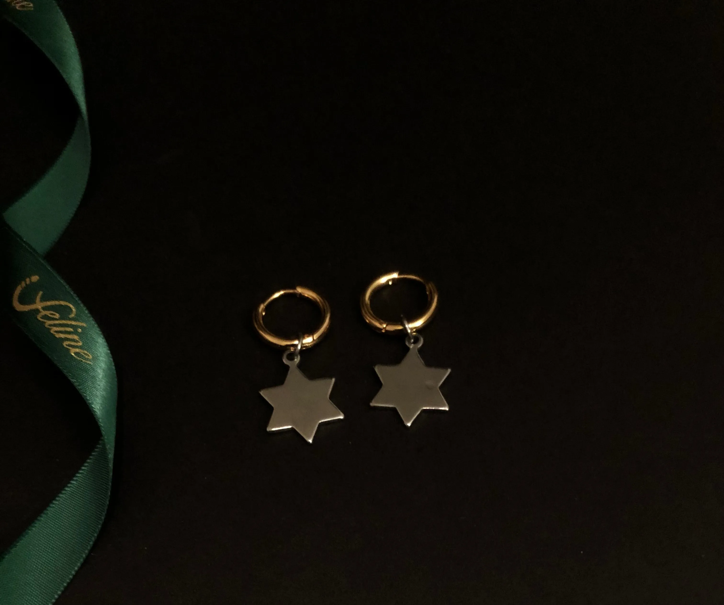 Stanislav Earrings