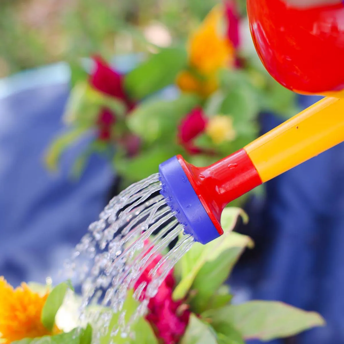 Watering Can (1 Liter)